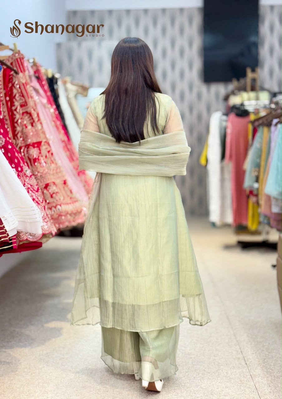 Women's Pastel Green Embroidered Palazzo Suit Set