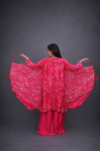 Pink Embroidery Crop Top Palazzo Shrug Set
